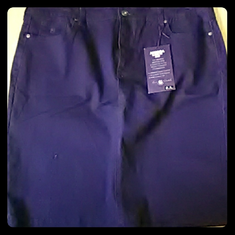 Purple Gloria Vanderbilt skirt